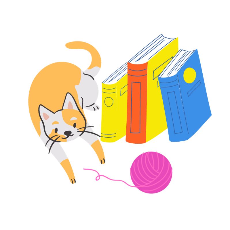 cat2.jpg