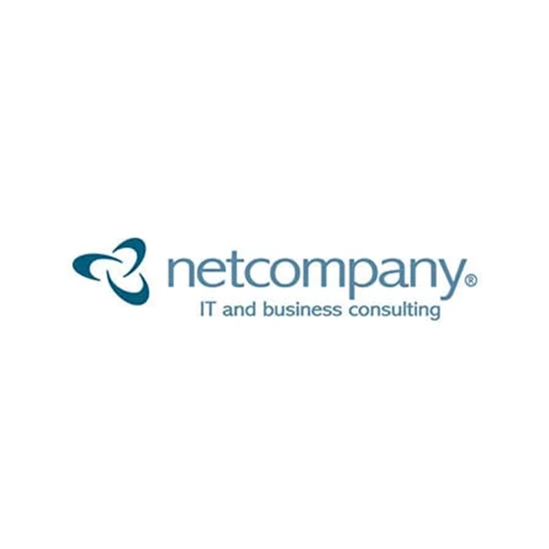 Logo of netcompany