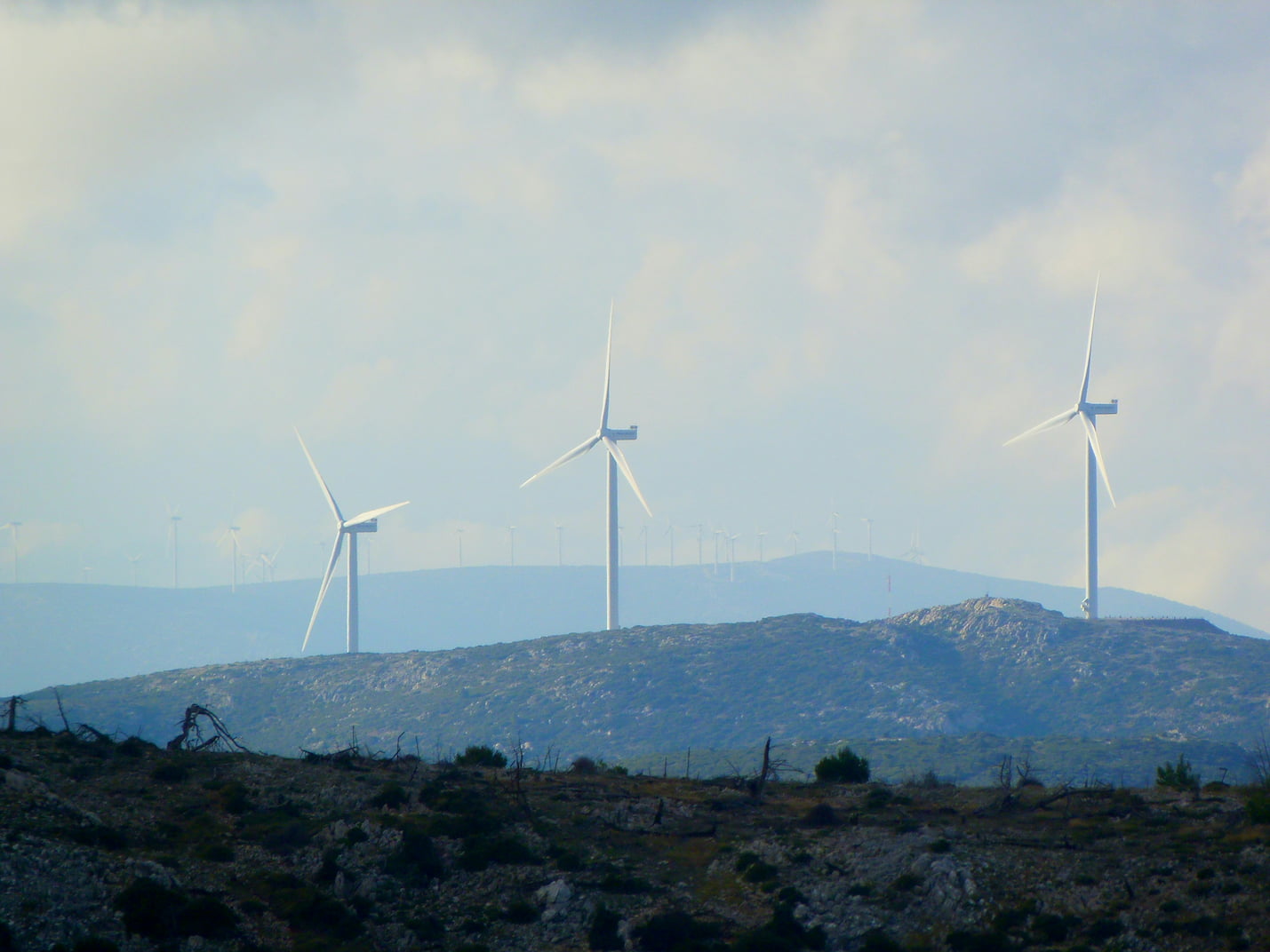 Certain approaches should be considered to improve the quality of ESG governance. (Photo: Unsplash) 