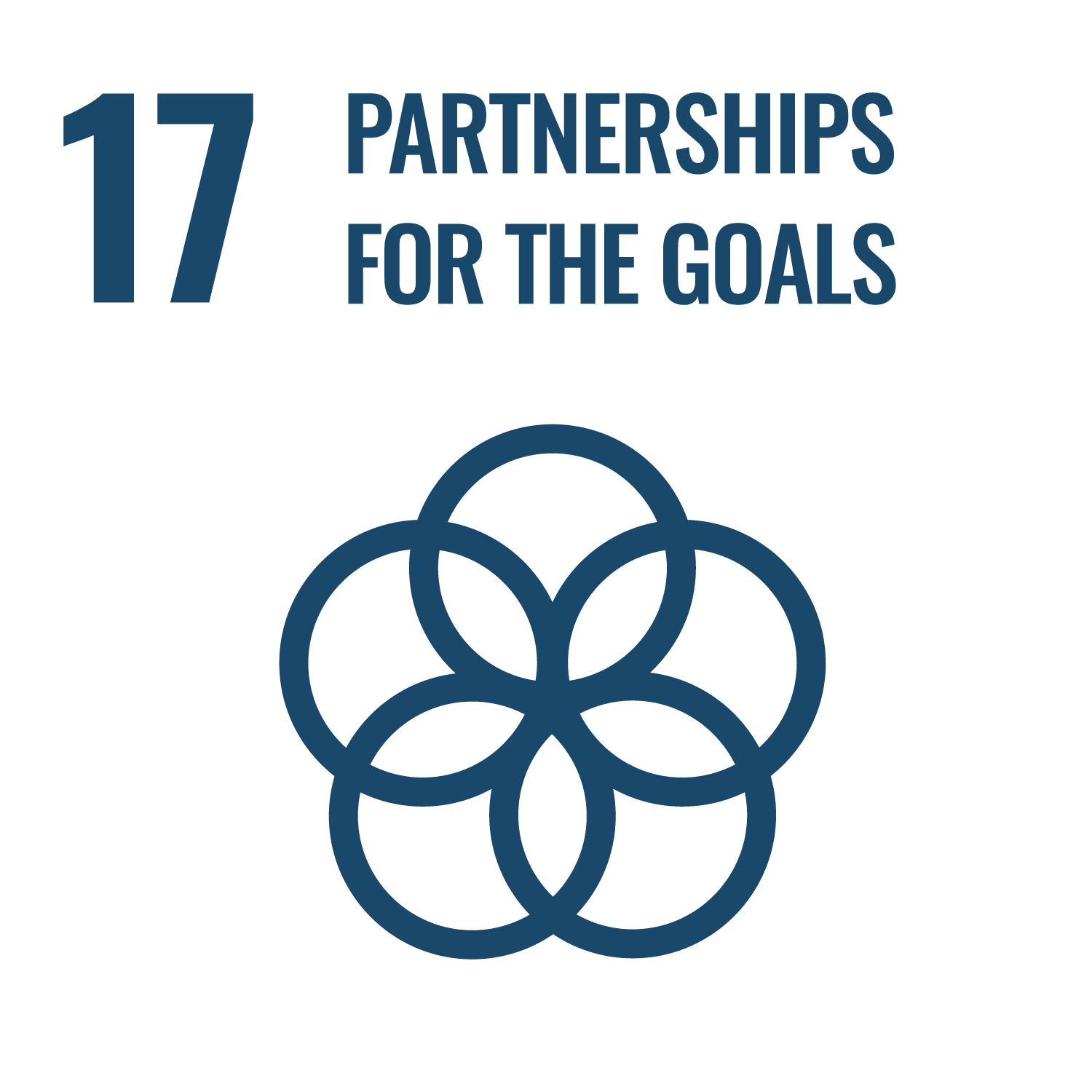 unsdgs-eng-17.png