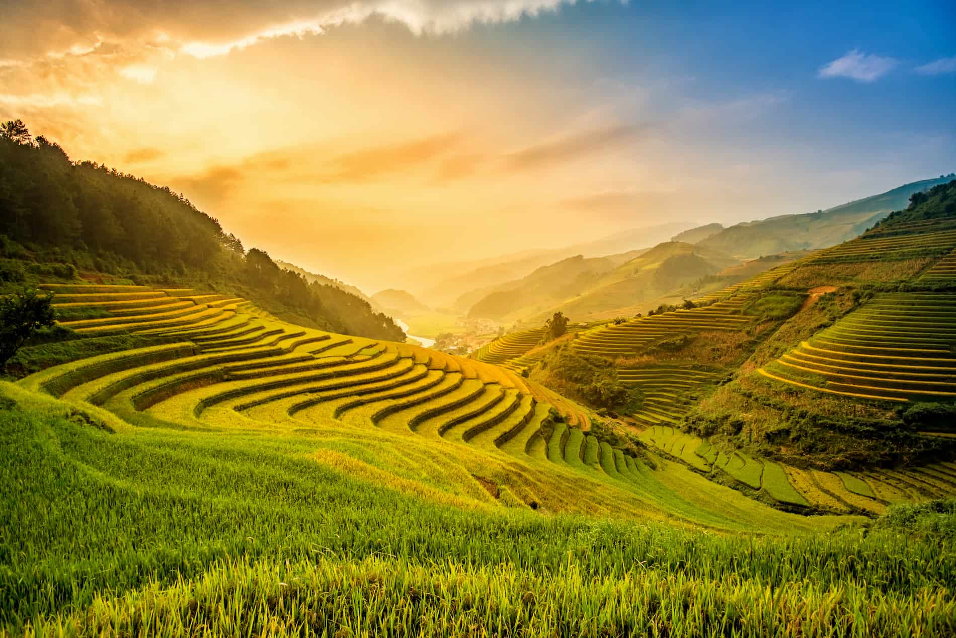mu-cang-chai-rice-feild-stock-1900-1268.jpg